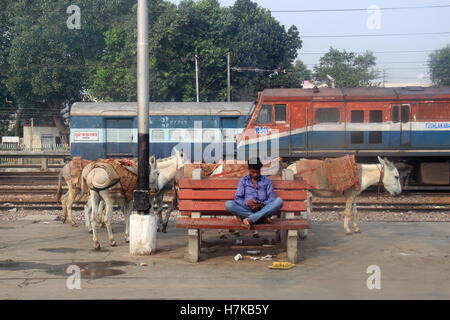 Panipat Bahnhof, Delhi-Kalka Shatabdi Express, Indien, indische Subkontinent Südasien Stockfoto