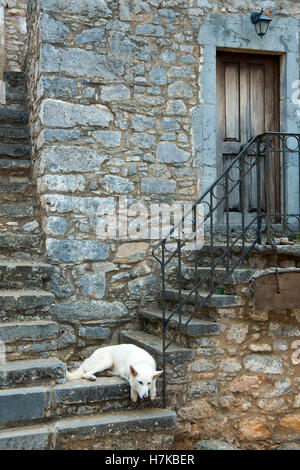 Griechenland, Kreta, Kloster Moni Halepas Stockfoto