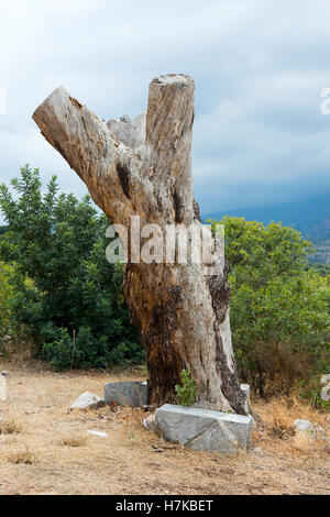 Griechenland, Kreta, Baum Beim Kloster Moni Halepas Stockfoto