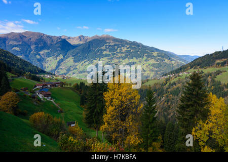 Hainzenberg: Gerlosbach Tal, Alp Alm, Zillertaler Alpen, Scheunen, Zell-Gerlos, Tirol, Tirol, Österreich Stockfoto