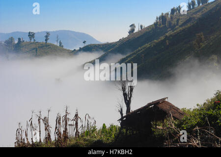 Ansicht von nebligen Berggipfeln umgeben von Morgennebel im Norden Thailands. Übernommen, während ein Öko-Tour durch Chaing Mai wandern. Stockfoto