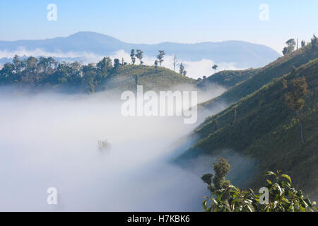 Ansicht von nebligen Berggipfeln umgeben von Morgennebel im Norden Thailands. Übernommen, während ein Öko-Tour durch Chaing Mai wandern. Stockfoto