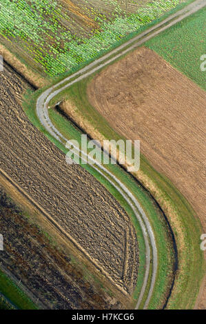 Felder und Straßen, Luftbild Stockfoto