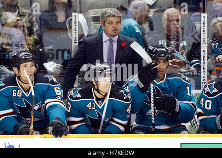 9. November 2010; San Jose, CA, USA;  San Jose Sharks head Coach Todd McLellan auf der Bank gegen die Anaheim Ducks in der zweiten Periode bei HP Pavilion. Stockfoto