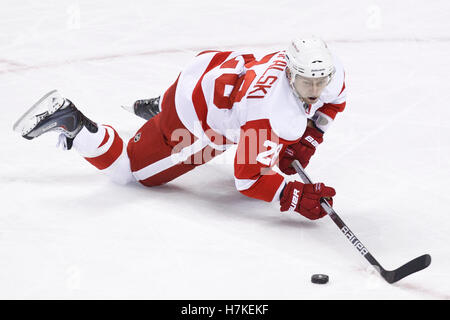 30. November 2010; San Jose, CA, USA;  Detroit Red Wings-Verteidiger Brian Rafalski (28) Tauchgänge für den Puck gegen die San Jose Sharks in der ersten Phase im HP Pavilion. Detroit besiegt San Jose 5-3. Stockfoto