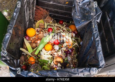 frisch Haushalt Schrott in die Biotonne Stockfoto