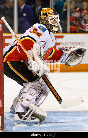 23. März 2011; San Jose, CA, USA;  Calgary Flames-Goalie Miikka Kiprusoff (34) erwärmt sich vor dem Spiel gegen die San Jose Sharks im HP Pavilion. San Jose besiegte Calgary 6-3. Stockfoto