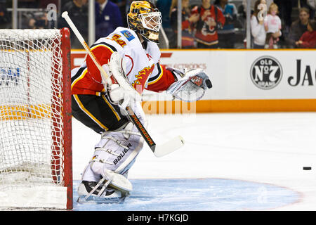 23. März 2011; San Jose, CA, USA; Calgary Flames Torwart Miikka Kiprusoff (34) wärmt sich vor dem Spiel gegen die San Jose Sharks im HP Pavilion. Stockfoto