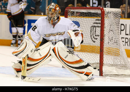 2. April 2011; San Jose, CA, USA;  Anaheim Ducks Torwart Dan Ellis (38) erwärmt sich vor dem Spiel gegen die San Jose Sharks im HP Pavilion. Stockfoto