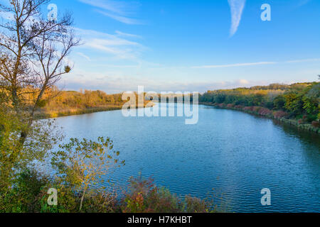 Wien, Wien: Donauauen (Donau-Auen) Nationalpark, Oxbow See Kühwörter Wasser, 22., Wien, Österreich Stockfoto