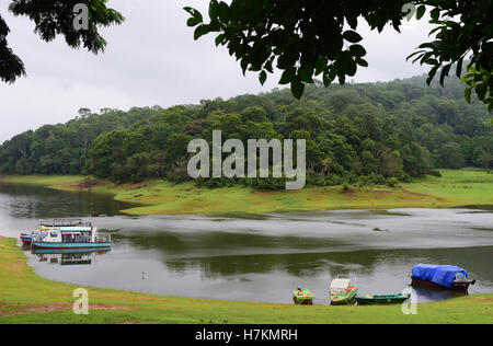 Thekkady Tourismus Thekkady Lake Periyar Wildlife Sanctuary und Periyar River View Thekkady Bootfahren Kerala Indien Stockfoto