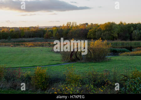 Rainton Wiesen Nature Reserve bei Sonnenuntergang im Herbst Stockfoto