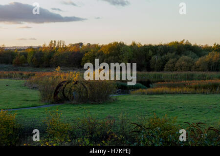 Rainton Wiesen Nature Reserve bei Sonnenuntergang im Herbst Stockfoto