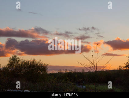 Rainton Wiesen Nature Reserve bei Sonnenuntergang im Herbst Stockfoto