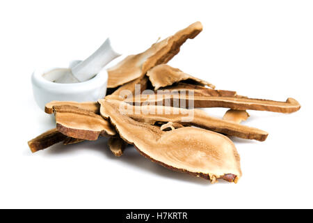 Lingzhi Pilz (auch genannt als Reishi Pilz in Japan, Lingcheu in Thailand, Lingzhi Pilz in China, Ganoderma Luci getrocknet Stockfoto