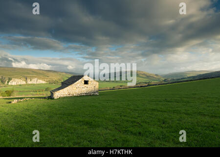 Einer traditionellen Scheune in einem Feld im oberen Wharfedale, Yorkshire Dales National Park, England, UK Stockfoto