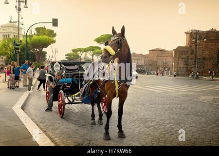 Rom, Italien - 16. Juni 2016. Pferd auf der via dei Fori Imperiali in Rom mit dem Blick auf Vittoriano Stockfoto