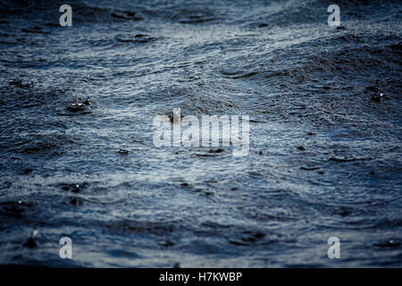 Regen fällt auf die Wasseroberfläche. Nahaufnahme von stürmischer See mit Regentropfen. Abstrakte Natur-Detail. Stockfoto