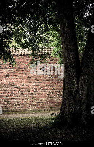 Roten Backsteinmauer und alten Baum im leeren Park. Ruhigen und ruhigen Architektur Hintergrund. Stockfoto