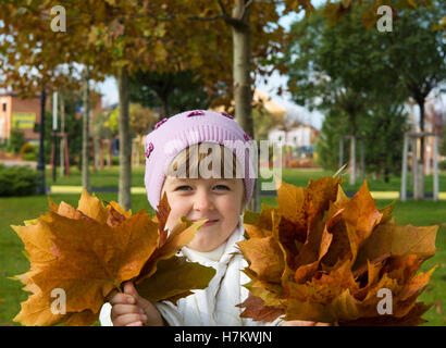 Mädchen auf der Wiese im Herbst sammelt Blätter Stockfoto