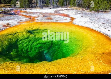 Blick auf den berühmten Morning Glory Pool in Upper Geyser Basin im Yellowstone National Park Stockfoto