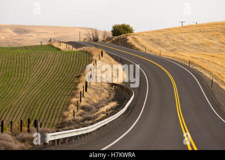 Zwei Lane Blacktop Weg führt durch malerische Oregon State Stockfoto