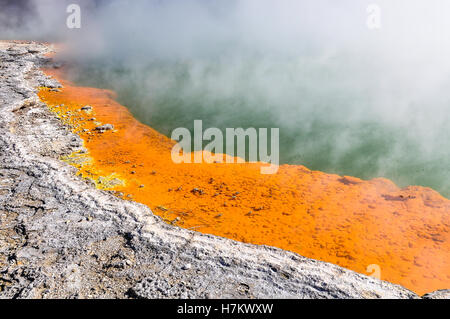 Champagne Pool im Wunderland der Wai-o-Tapu geothermal Gegend, in der Nähe von Rotorua, Neuseeland Stockfoto