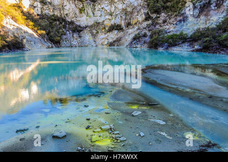 Bunte Teich in das Wunderland der Wai-o-Tapu geothermal Gegend, in der Nähe von Rotorua, Neuseeland Stockfoto