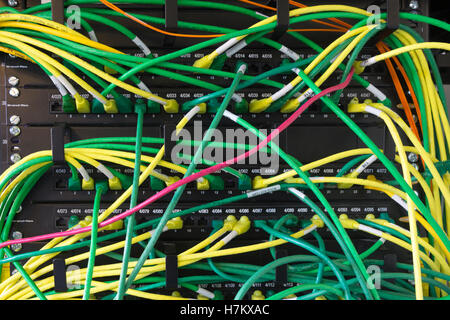 Eine Fülle von Ethernet-Kabel Verbindung zu einem server Stockfoto