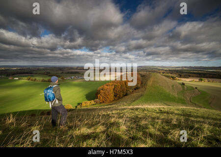 Cley Hill, Warminster, Wiltshire, UK. 6. November 2016. Am frühen Morgen Frost wich einer glorreichen frühen Nachmittag Sonnenschein über der antiken Landschaft-Funktion in der Nähe von Longleat Safari Park. Wanderer trotzten die frischen und windigen Bedingungen auf dem Gipfel der historischen Wallburg in atemberaubende Aussicht über die Landschaft Wiltshire zu. Bildnachweis: Wayne Farrell/Alamy Live-Nachrichten Stockfoto