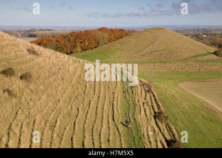 Cley Hill, Warminster, Wiltshire, UK. 6. November 2016. Am frühen Morgen Frost wich einer glorreichen frühen Nachmittag Sonnenschein über der antiken Landschaft-Funktion in der Nähe von Longleat Safari Park. Wanderer trotzten die frischen und windigen Bedingungen auf dem Gipfel der historischen Wallburg in atemberaubende Aussicht über die Landschaft Wiltshire zu. Bildnachweis: Wayne Farrell/Alamy Live-Nachrichten Stockfoto