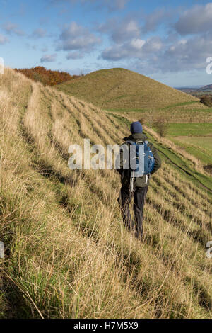 Cley Hill, Warminster, Wiltshire, UK. 6. November 2016. Am frühen Morgen Frost wich einer glorreichen frühen Nachmittag Sonnenschein über der antiken Landschaft-Funktion in der Nähe von Longleat Safari Park. Wanderer trotzten die frischen und windigen Bedingungen auf dem Gipfel der historischen Wallburg in atemberaubende Aussicht über die Landschaft Wiltshire zu. Bildnachweis: Wayne Farrell/Alamy Live-Nachrichten Stockfoto