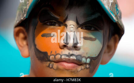 Miami Gardens, Florida, USA. 6. November 2016. Ein Fan der Miami Dolphins im Hard Rock Stadium in Miami Gardens, Florida am 6. November 2016. Bildnachweis: Allen Eyestone/The Palm Beach Post/ZUMA Draht/Alamy Live-Nachrichten Stockfoto