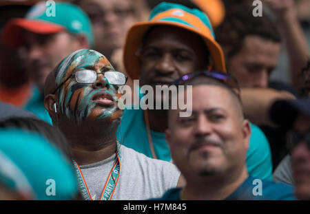 Miami Gardens, Florida, USA. 6. November 2016. Ein Fan der Miami Dolphins im Hard Rock Stadium in Miami Gardens, Florida am 6. November 2016. Bildnachweis: Allen Eyestone/The Palm Beach Post/ZUMA Draht/Alamy Live-Nachrichten Stockfoto