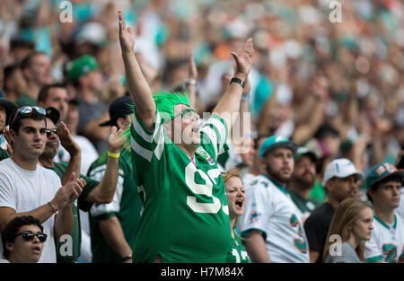 Miami Gardens, Florida, USA. 6. November 2016. Ein Fan der New York Jets im Hard Rock Stadium in Miami Gardens, Florida am 6. November 2016. Bildnachweis: Allen Eyestone/The Palm Beach Post/ZUMA Draht/Alamy Live-Nachrichten Stockfoto