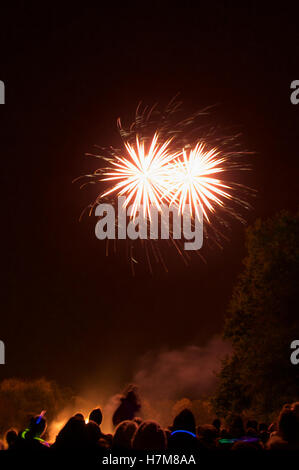 Wickford, Essex, England. 5. November 2016. UK-Feuerwerk und Lagerfeuer © Ben Rektor/Alamy Live News Stockfoto