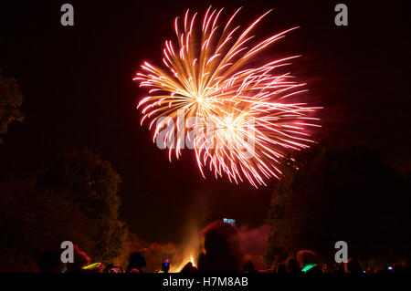 Wickford, Essex, England. 5. November 2016. UK-Feuerwerk und Lagerfeuer © Ben Rektor/Alamy Live News Stockfoto