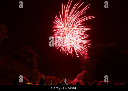 Wickford, Essex, England. 5. November 2016. UK-Feuerwerk und Lagerfeuer © Ben Rektor/Alamy Live News Stockfoto