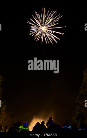 Wickford, Essex, England. 5. November 2016. UK-Feuerwerk und Lagerfeuer © Ben Rektor/Alamy Live News Stockfoto