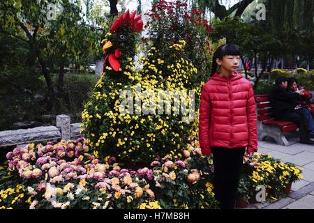 Jinan, Jinan, China. 6. November 2016. Jinan, CHINA-November 6 2016: (nur zur redaktionellen Verwendung. CHINA HERAUS). Die Chrysantheme-Ausstellung in Jinan, der Hauptstadt der ostchinesischen Provinz Shandong, 6. November 2016. Die Chrysantheme Blumen blühen im Baotu Frühling Park in Jinan, Scharen von Touristen anzieht. Bildnachweis: SIPA Asien/ZUMA Draht/Alamy Live-Nachrichten Stockfoto