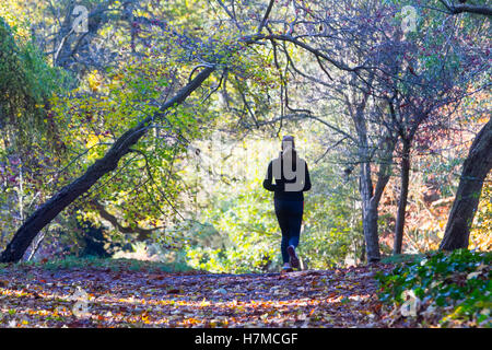 Wimbledon London, UK. 7. November 2016. Menschen genießen die Herbstsonne an einem kalten Tag in Wimbledon Common Credit: Amer Ghazzal/Alamy Live-Nachrichten Stockfoto