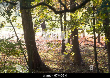 Wimbledon London, UK. 7. November 2016. Menschen genießen die Herbstsonne an einem kalten Tag in Wimbledon Common Credit: Amer Ghazzal/Alamy Live-Nachrichten Stockfoto