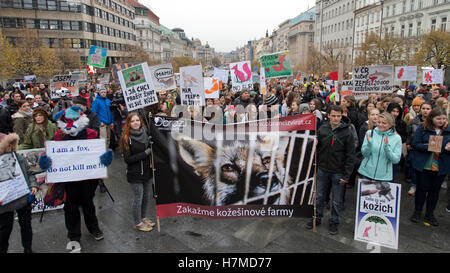 Mehrere Hundert Aktivisten, Tierkostüme, beteiligte sich an einer Demonstration gegen Pelzfarmen in der Mitte, 6. November 2016 tragen. Nächste Woche ist der Abgeordnetenkammer zu beginnen, über eine Änderung des Gesetzes über den Schutz der Tiere und verhindert Grausamkeit zu ihnen, die Pelzfarmen verbieten würde. Züchter der Nerze und Füchse für Pelz haben der Änderungsantrag abgelehnt. Teilnehmer in der Marsch, der Bild-Tier-Protektoren-Vereinigung trugen Transparente mit Parolen gegen Pelz Tierzucht. Stockfoto