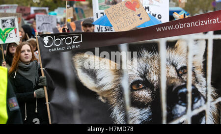 Mehrere Hundert Aktivisten, Tierkostüme, beteiligte sich an einer Demonstration gegen Pelzfarmen in der Mitte, 6. November 2016 tragen. Nächste Woche ist der Abgeordnetenkammer zu beginnen, über eine Änderung des Gesetzes über den Schutz der Tiere und verhindert Grausamkeit zu ihnen, die Pelzfarmen verbieten würde. Züchter der Nerze und Füchse für Pelz haben der Änderungsantrag abgelehnt. Teilnehmer in der Marsch, der Bild-Tier-Protektoren-Vereinigung trugen Transparente mit Parolen gegen Pelz Tierzucht. Stockfoto