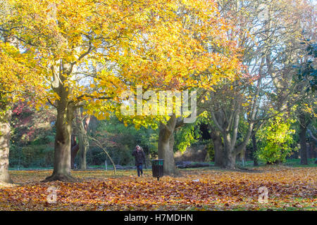 Wimbledon London, UK. 7. November 2016. Menschen genießen die Herbstsonne an einem kalten Tag in Wimbledon Common Stockfoto