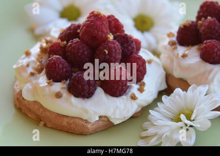 Pavlova Kuchen mit Himbeeren Stockfoto