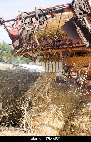 William Foster & Co Ltd-Dreschmaschine, angetrieben durch einen Dampftraktor Stockfoto