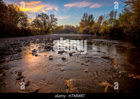 Sonnenaufgang und Herbst Blätter auf der Boise River in der Nähe von Eagle Idaho Stockfoto