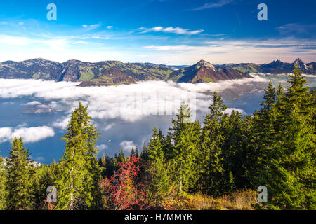 Nebel umgibt, Grosser, Kleiner Mythen, Vierwaldstättersee, Rigi Berg, Brunnen und Weggis Dorf von Klewenalp in Schweizer Alpen Stockfoto