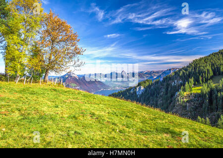 Nebel umgibt, Grosser, Kleiner Mythen, Vierwaldstättersee, Rigi Berg, Brunnen und Weggis Dorf von Klewenalp in Schweizer Alpen Stockfoto